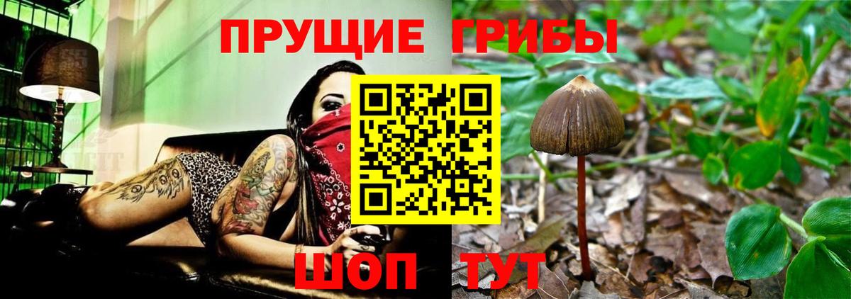 Галлюциногенные грибы Psilocybine cubensis  Вход с VPN  Самара 