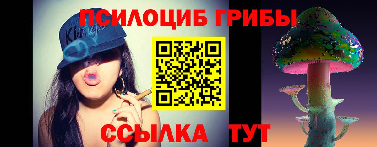 Псилоцибиновые грибы прущие грибы Самара